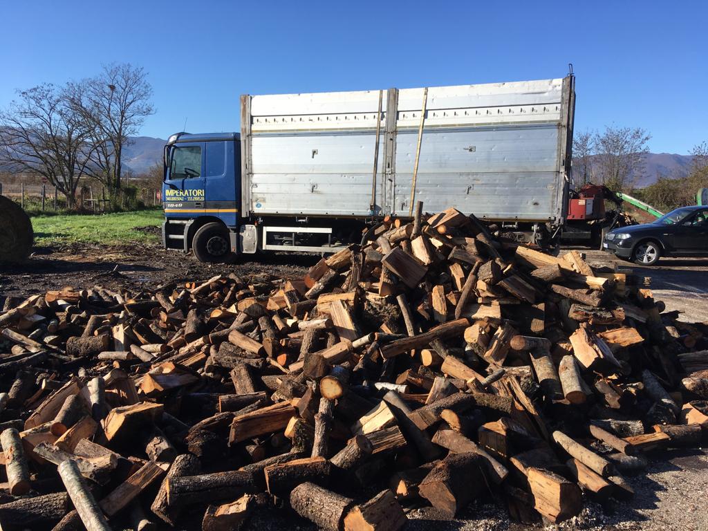 Camion accanto a un mucchio di legna tagliata.